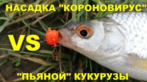 РЫБАЛКА на КАРПА! Пьяная КУКУРУЗА против КОРОНОВИРУСА! Кто ПОБЕДИТ?!