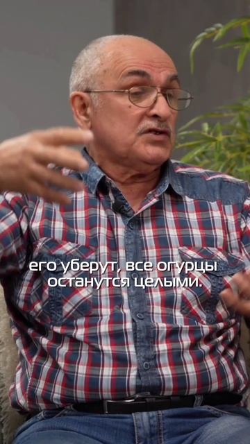 Почему паразиты опасны? Ответ доктора смотреть онлайн