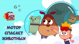 Мастер Витя и Мотор / Мотор спасает животных