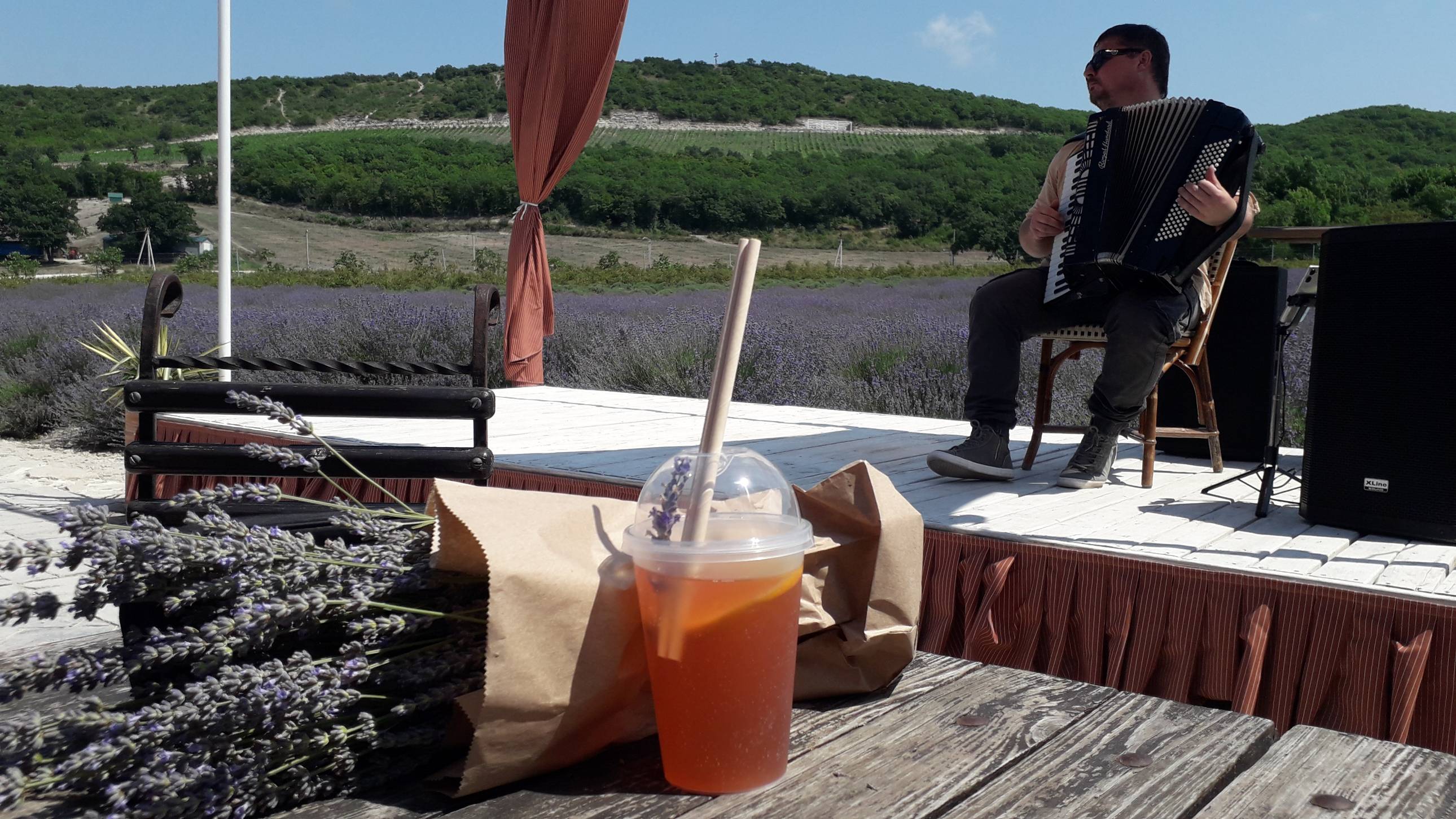 Лавандовые поля, фиолетовое пахучее счастье. Шампанское, Сангрия, Сидр из лаванды, музыка смотреть онлайн