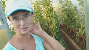 Видео привет с 6 соток 31 июля 2025 года.