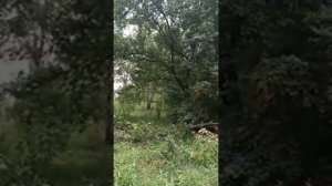 РАБОТА ИНГИ СО МНОЙ...видео от Анастасии