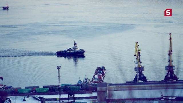 Знание - сила | Роботы | Промысел в Мурманске | Чистка обуви | №270 смотреть онлайн