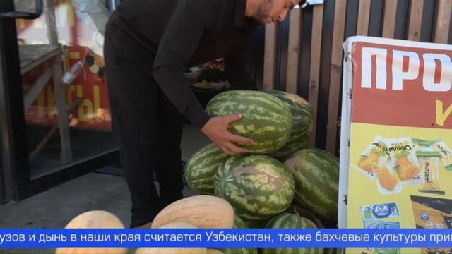 В это воскресенье, 3 августа, отмечается Международный день арбуза