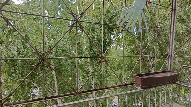 1000028749.mp4 смотреть онлайн