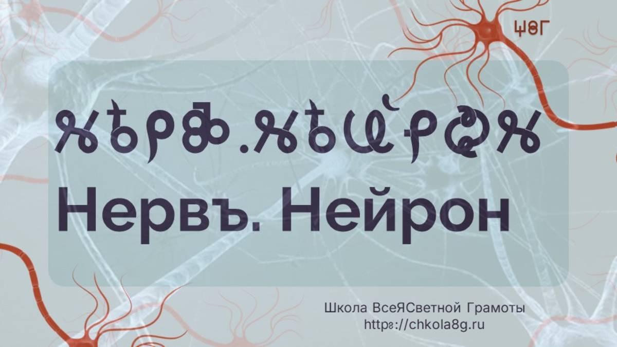 Нерв. Нейрон. ВсеЯСветная Грамота смотреть онлайн