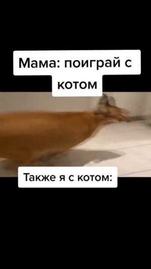 Снюсает проклятый