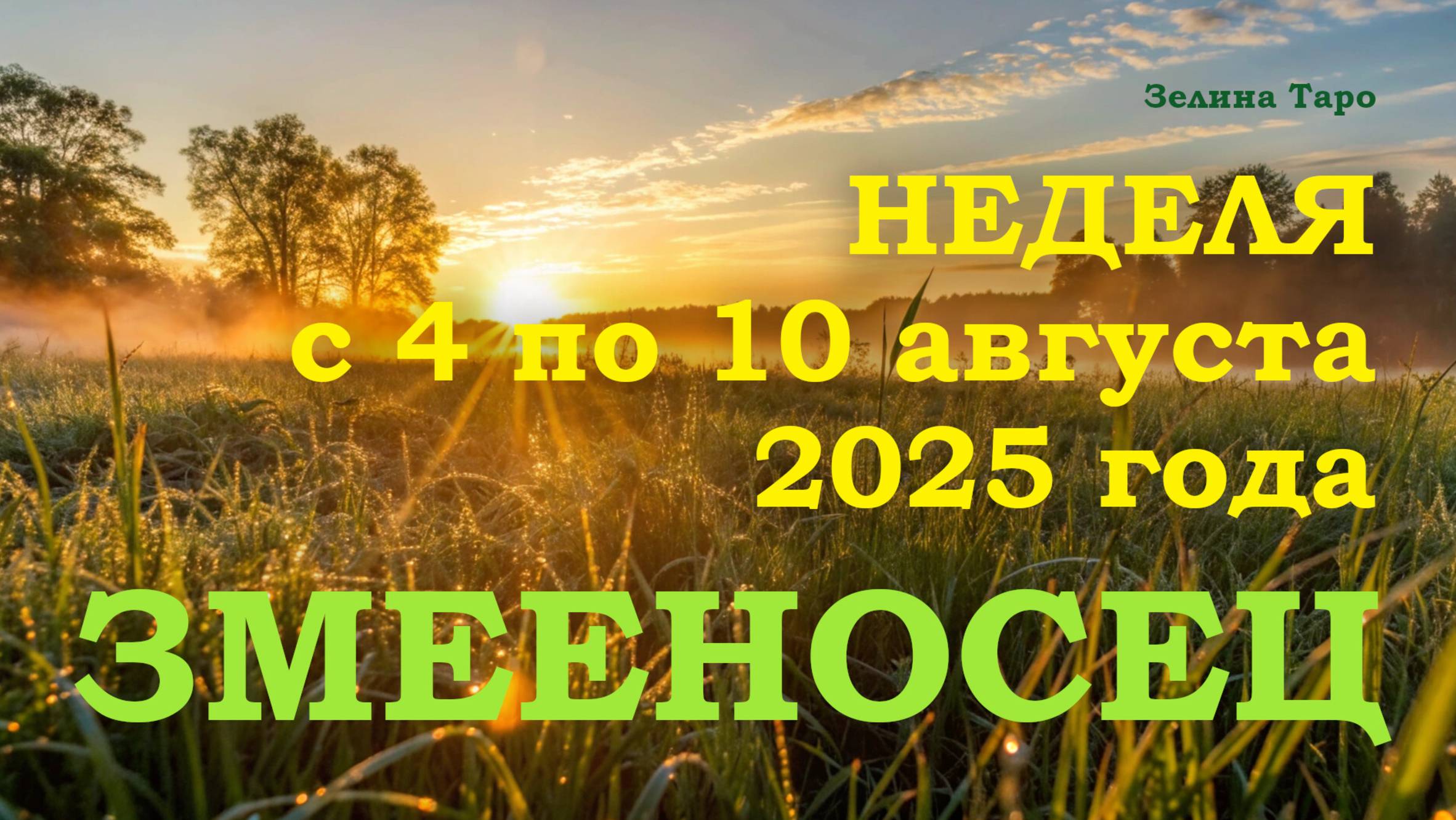 ЗМЕЕНОСЕЦ | ТАРО прогноз на неделю с 4 по 10 августа 2025 года