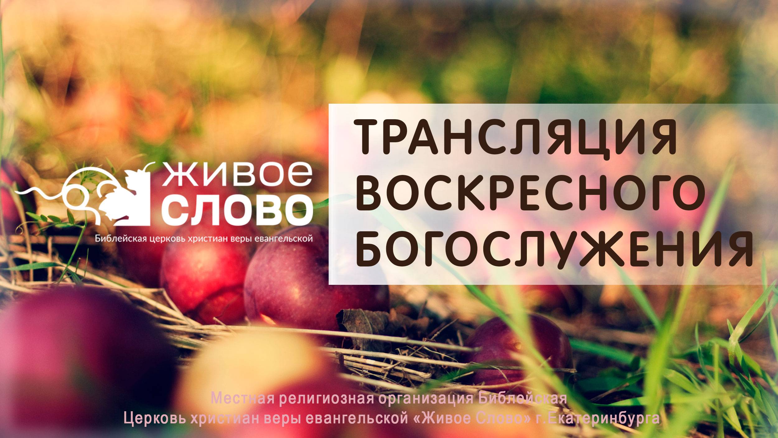 3 августа 2025 в 11:00 (ЕКБ) / Воскресное #Богослужение / Церковь «Живое Слово» смотреть онлайн