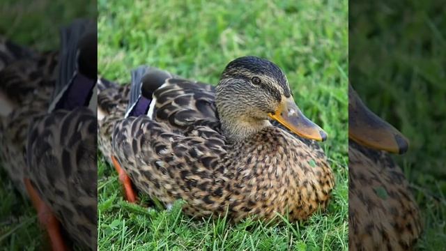 Это интересно-46