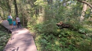 Гатчинская экотропа