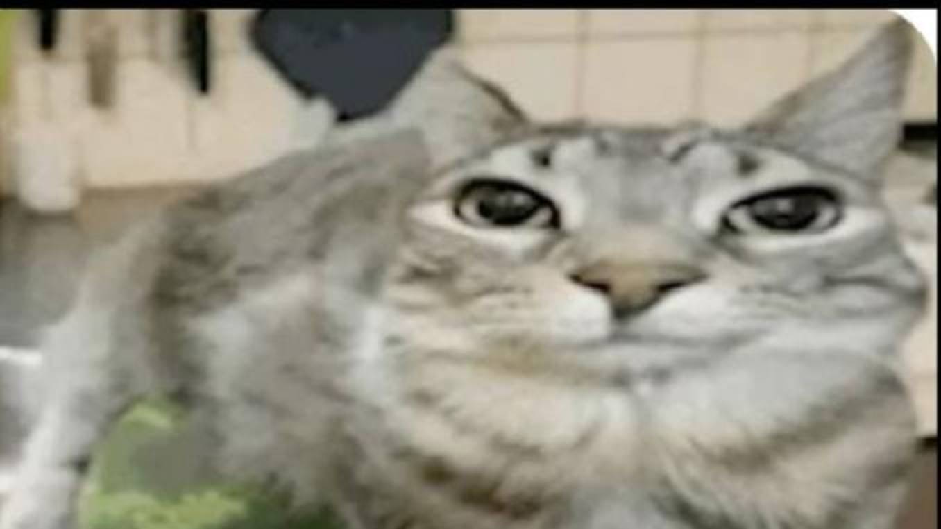 Играем в Stardew Valley