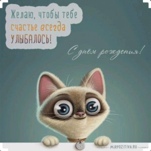 развелекаемся