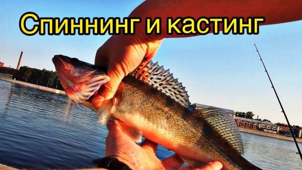 СПИННИНГ И КАСТИНГ НА СУДАКА | ОТВОДНОЙ ПОВОДОК