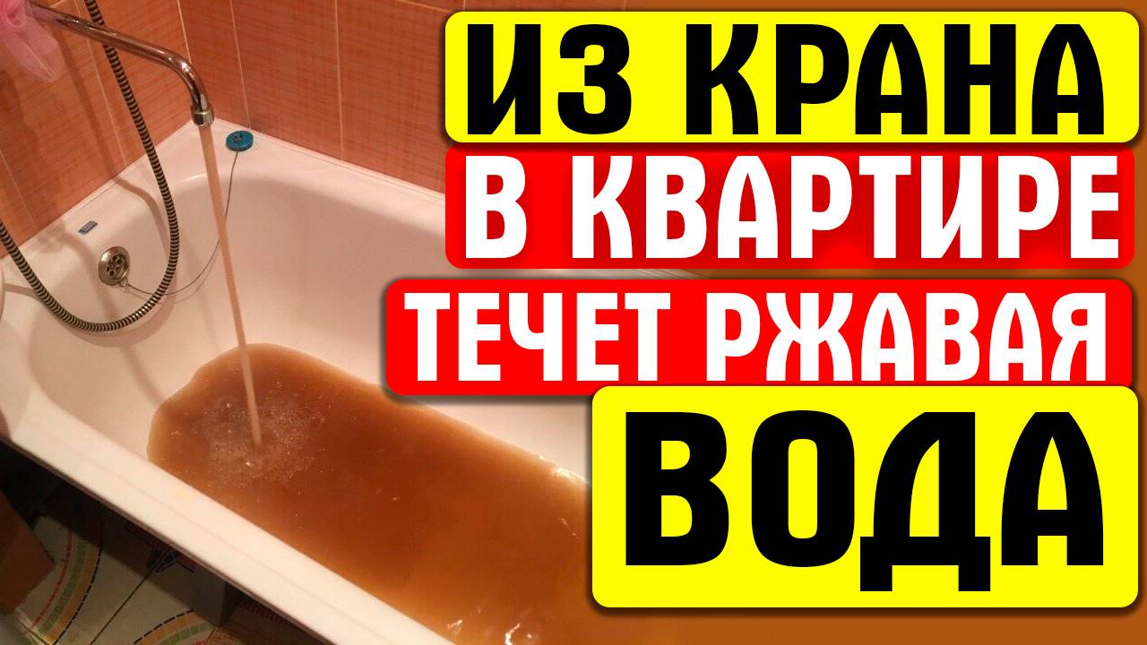 КУДА НУЖНО ЖАЛОВАТЬСЯ смотреть онлайн