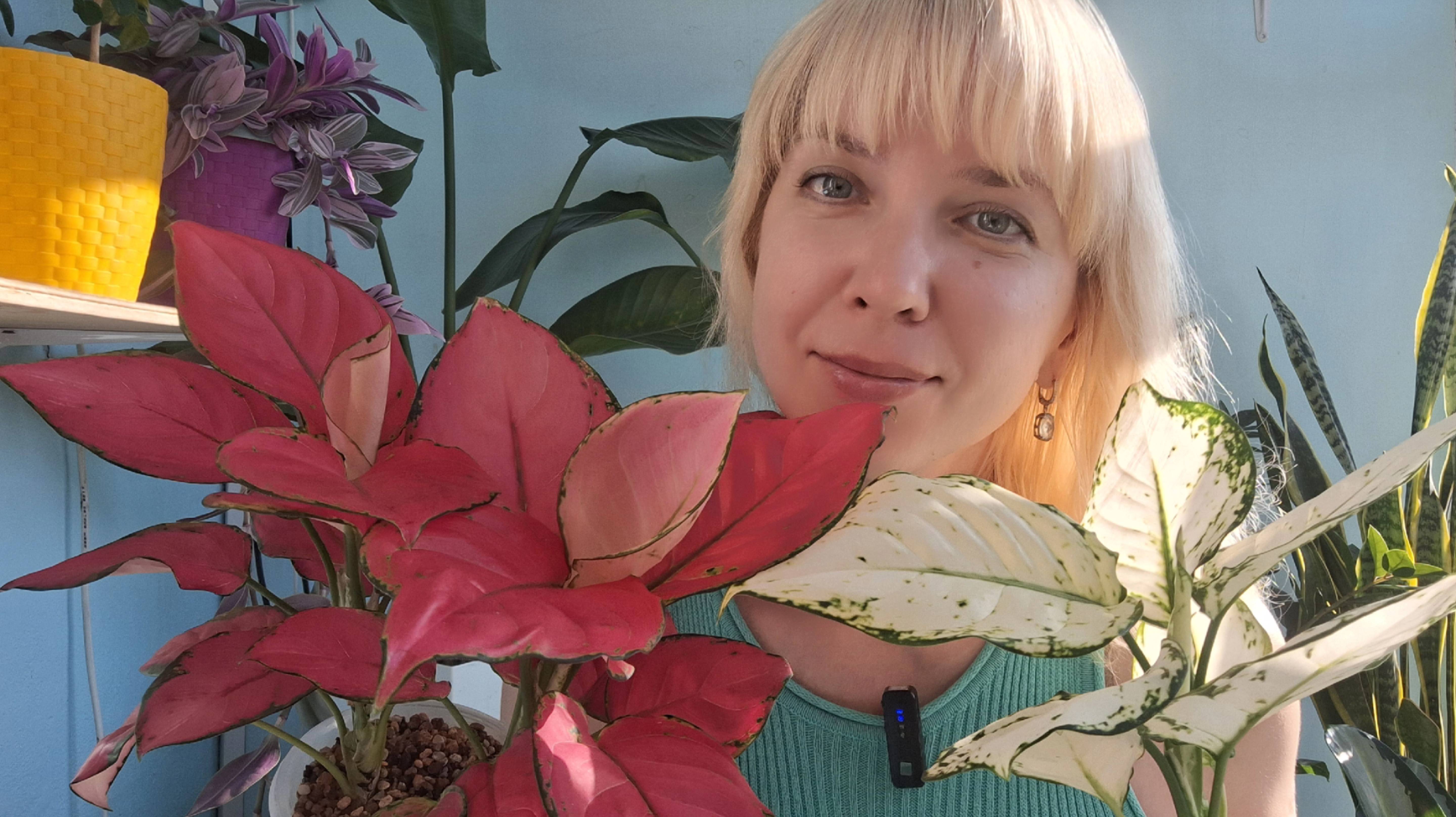 Небольшой обзор анлаонем и их уход смотреть онлайн