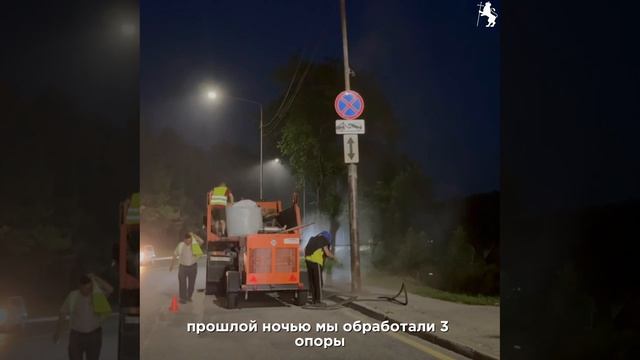 🌳Сотрудники ЦУГД продолжают работы по поддержанию объектов благоустройства! смотреть онлайн