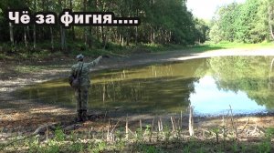 Рыбалка на карася с поплавком на 5 водоёмах - ситуация везде разная.. + операция Борщ 1 (продолж).