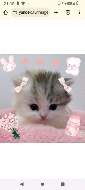 заходи будет весело 💤👻