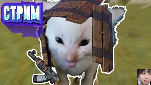 Rust. Соло старт. Вайп