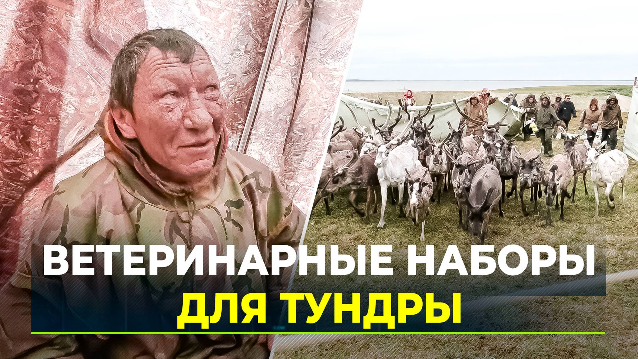 На Ямале уже выдали 1277 необходимых «аптечек»