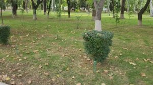 Пешком от отеля Wyndham Tashkent до Tashkent City