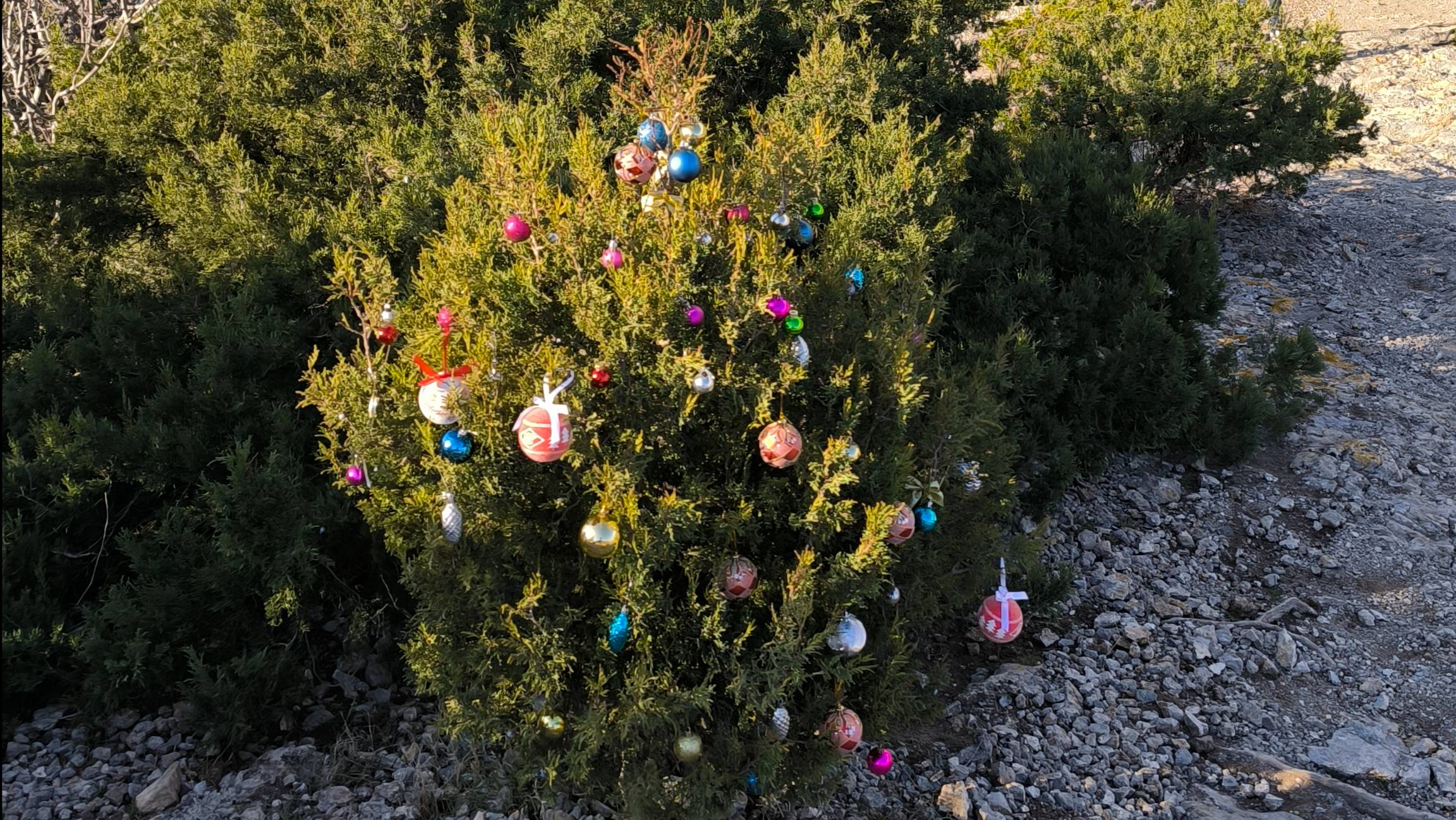 Что твориться в п. Новый Свет 2 января 2025 года?!