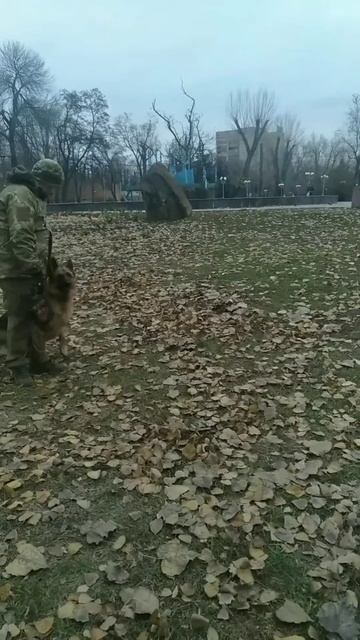 Гера, команда МЕСТО