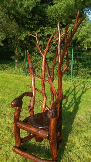 Трон Радагаста Бурого