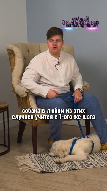 🎁Бесплатные уроки. Жми сюда! смотреть онлайн