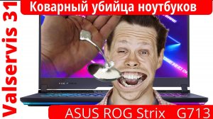 Коварный убийца ноутбуков -  ASUS ROG Strix   G713  жертва жм