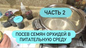 🟣ПОСЕВ СЕМЯН ОРХИДЕЙ В ПИТАТЕЛЬНУЮ СРЕДУ. Фласки #семенаорхидей #питательнаясреда #фласки #посевсе