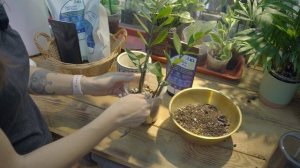 Osmocote Exact High K 8–9M – инструкция по применению удобрения