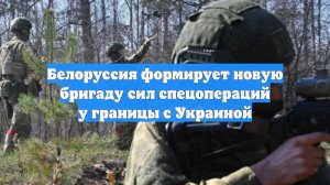 Белоруссия формирует новую бригаду сил спецопераций у границы с Украиной