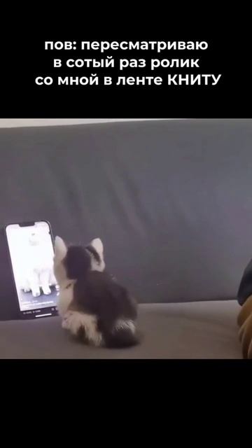 КНИТУ ищет новые лица для съемок смотреть онлайн