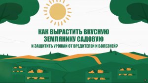 Как вырастить вкусную садовую землянику