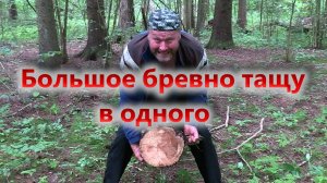 Как тащить огромное бревно одному Секрет раскрыт