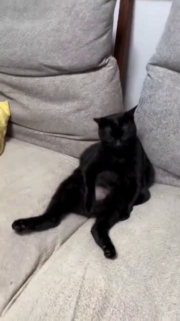 Устал смотреть онлайн