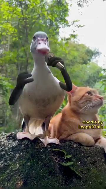 Даже кот в шоке от такой наглости! 2 смотреть онлайн