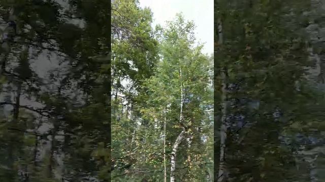 Видео корпоратива смотреть онлайн