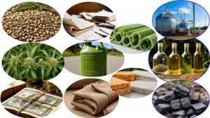 Что можно сделать из конопли Линейка продукции и маржинальность Биотопливо Бумага Ткани Биопластик