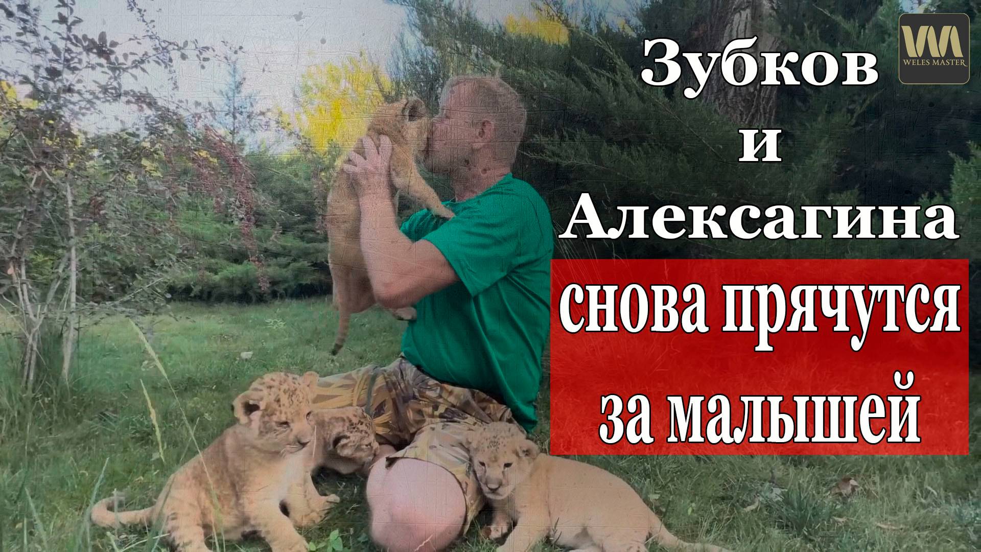 Примитивные манипуляции Зубкова и Алексагиной для примитивных фанатов Тайгана, 1 августа смотреть онлайн