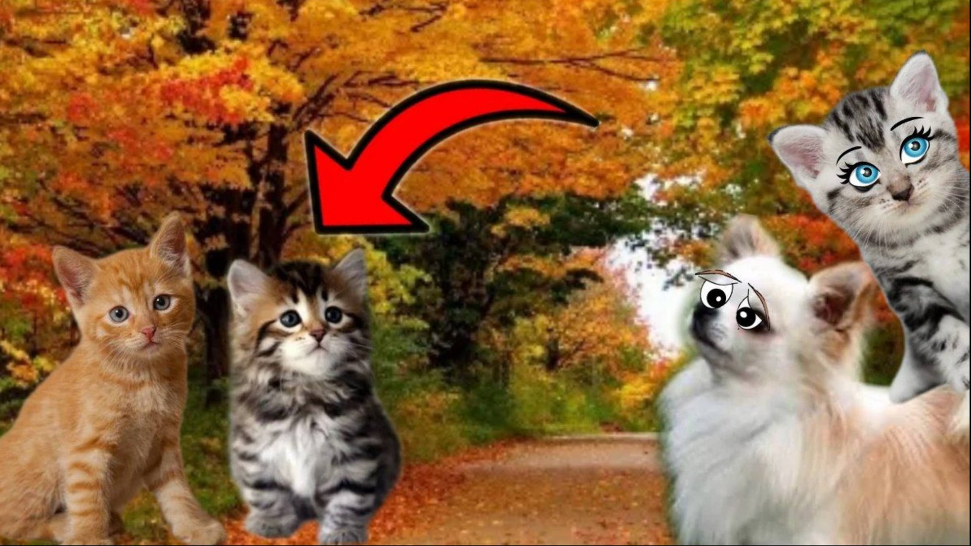 Собачка Шпулька СПАСЛА МАЛЕНЬКИХ КОТЯТ ОТ ОСЕНИ!