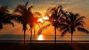 Sunset Tropical House Mix | Best Deep House & Chillout Music for a Relaxing Beach Vibe