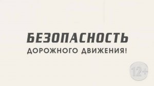 Безопасность дорожного движения 1 августа 2025