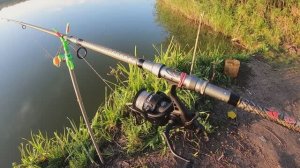 КАРПОВАЯ рыбалка для новичков. 4 часть. 30.07.2025 г.