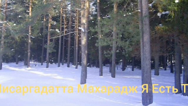 Нисаргадатта Махарадж Я Есть То смотреть онлайн