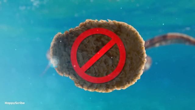 Кинотеории   Губка Боб   Злой Гений    ДОКАЗАНО!