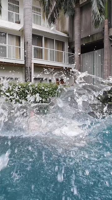 Swim Time #olliwonder