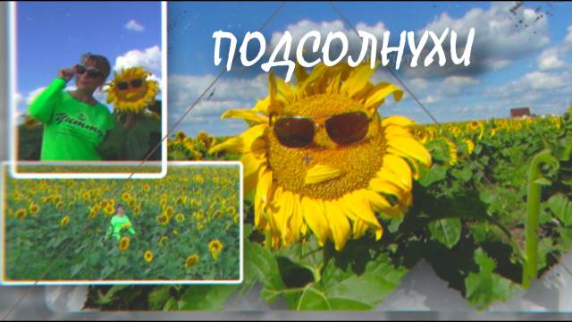 Поле подсолнухов 🌻 Радость и детский восторг! 🌻 #подсолнух #лето #радость #настроение смотреть онлайн